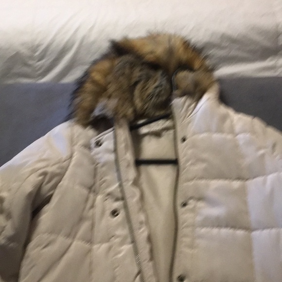 Cost - Picture 1 of 3